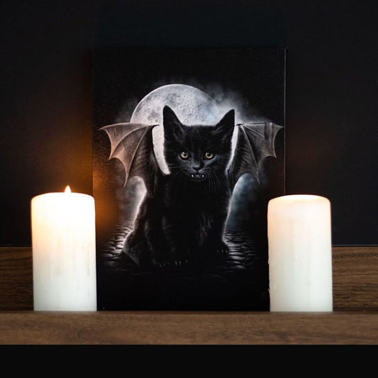 Bat Cat Canvas by Spiral Direct