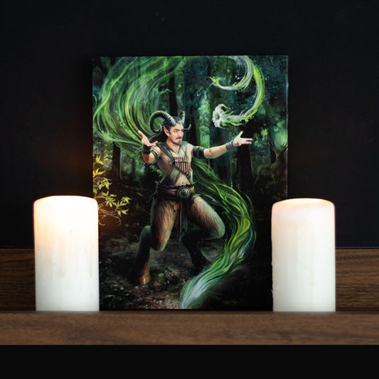 Earth Element Wizard Canvas