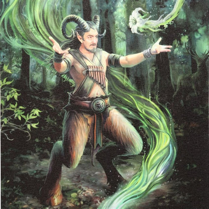 Earth Element Wizard Canvas