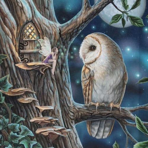 In the light of the full moon, an owl listens intently to his small fairy friend in this 25x19cm canvas wall plaque featuring a high quality, full colour print of artwork by fantasy artist Lisa Parker. Featuring an old white barn owl resting on a branch, sharing stories with his small fairy friend just outside of her treetop home. Designed by Lisa Parker and offically licensed for sale at Mrs Reed's Emporium.