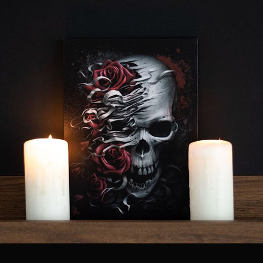 Skulls n Roses Canvas