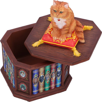 Mad About Cats Box