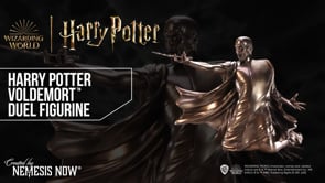 Voldemort Duel