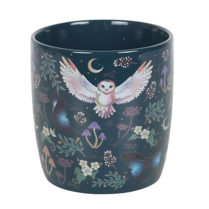 Night Flight Ceramic Mug