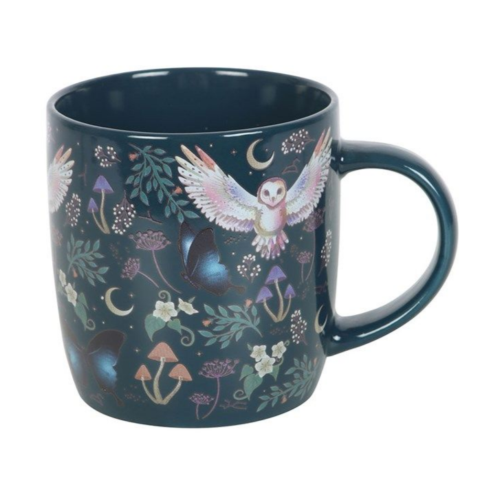 Night Flight Ceramic Mug